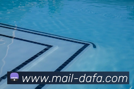 大发彩票发展历程